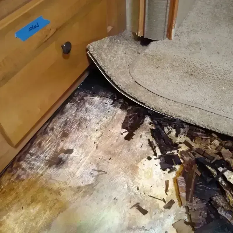 Wood Floor Water Damage in Yorketown, NJ